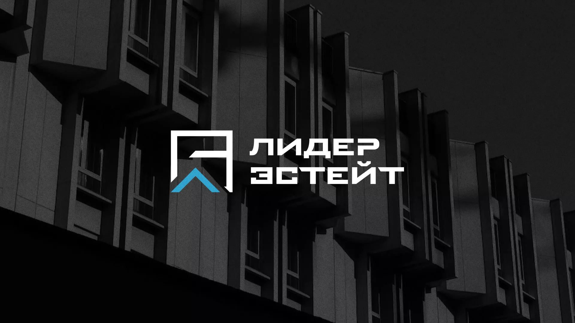 Разработка логотипа агентства недвижимости «Лидер Эстейт» в Юхнове